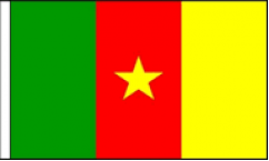 Cameroon Hand Waving Flags